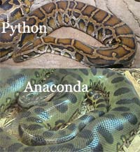 boa vs anaconda